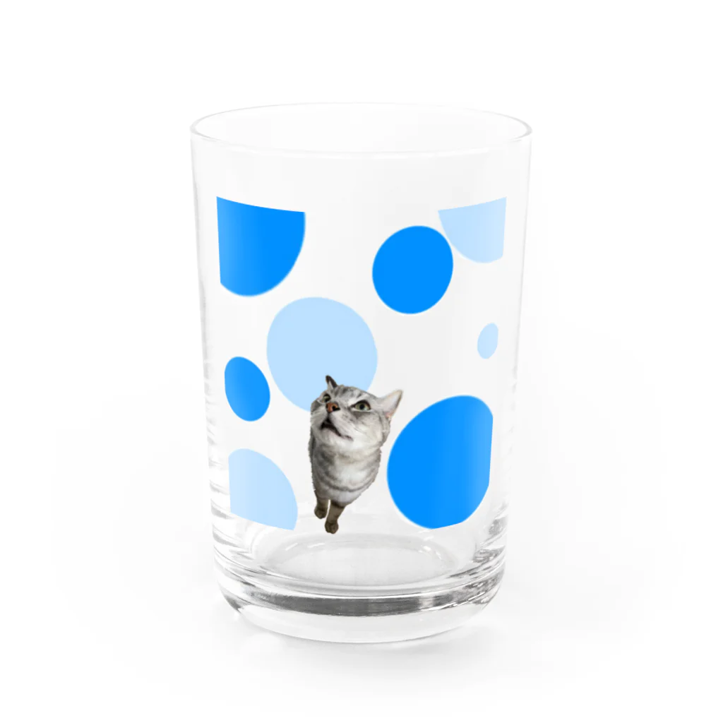 末っ子じゃない甘えん坊猫の水玉around猫 Water Glass :front