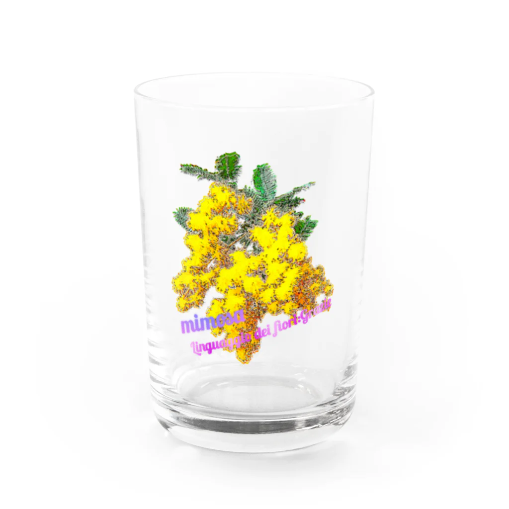 マロマロのMimosa Water Glass :front