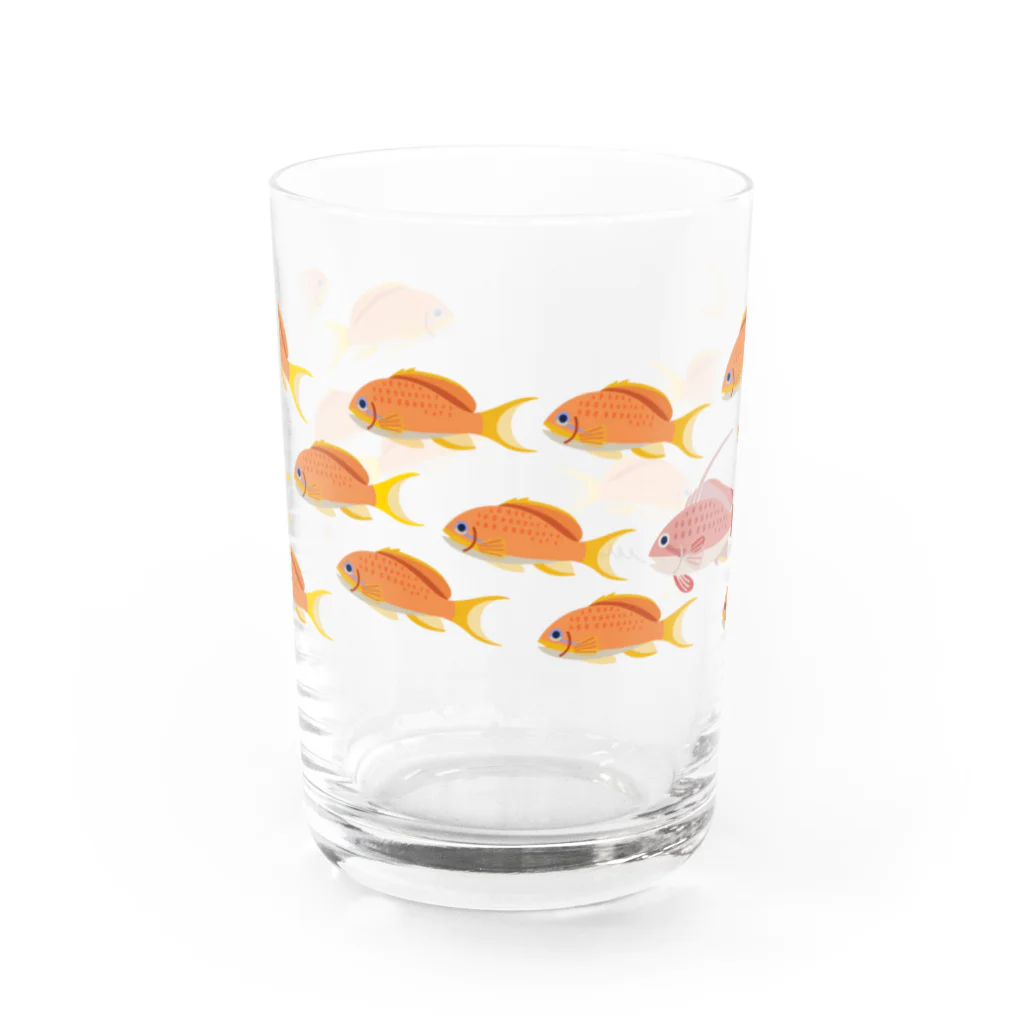 Astrio SUZURI店の魚の群れ キンギョハナダイ Water Glass :front