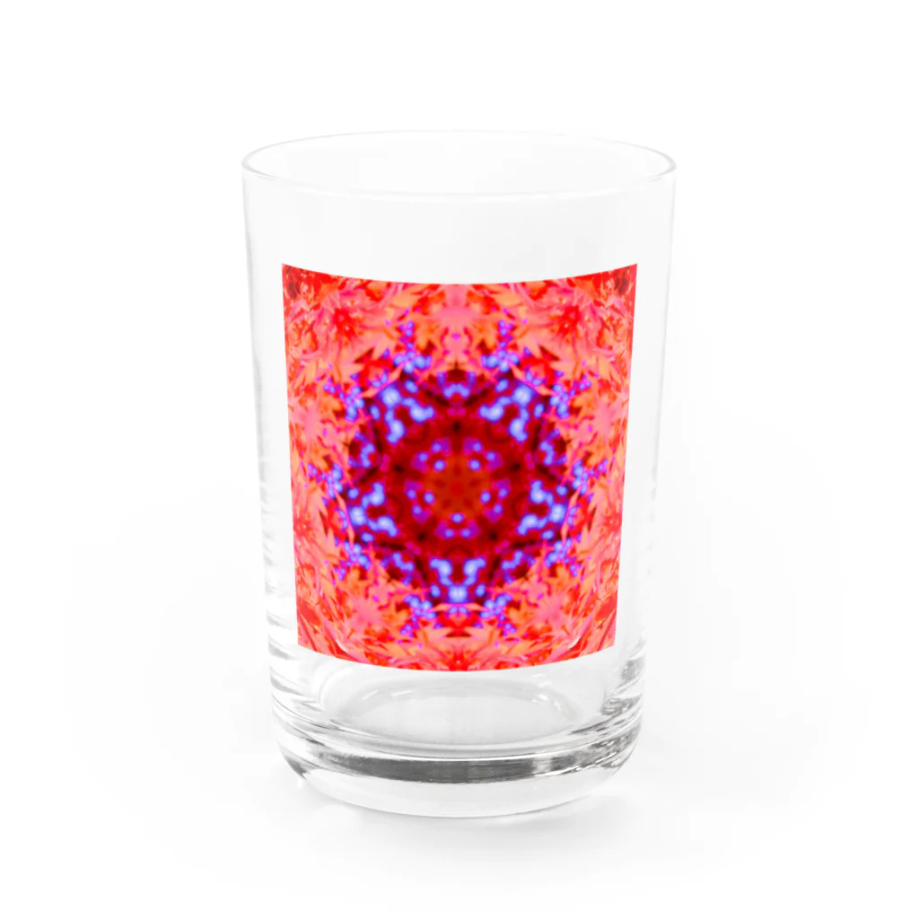 Flower kaleidoscopeの紅葉万華鏡 Water Glass :front