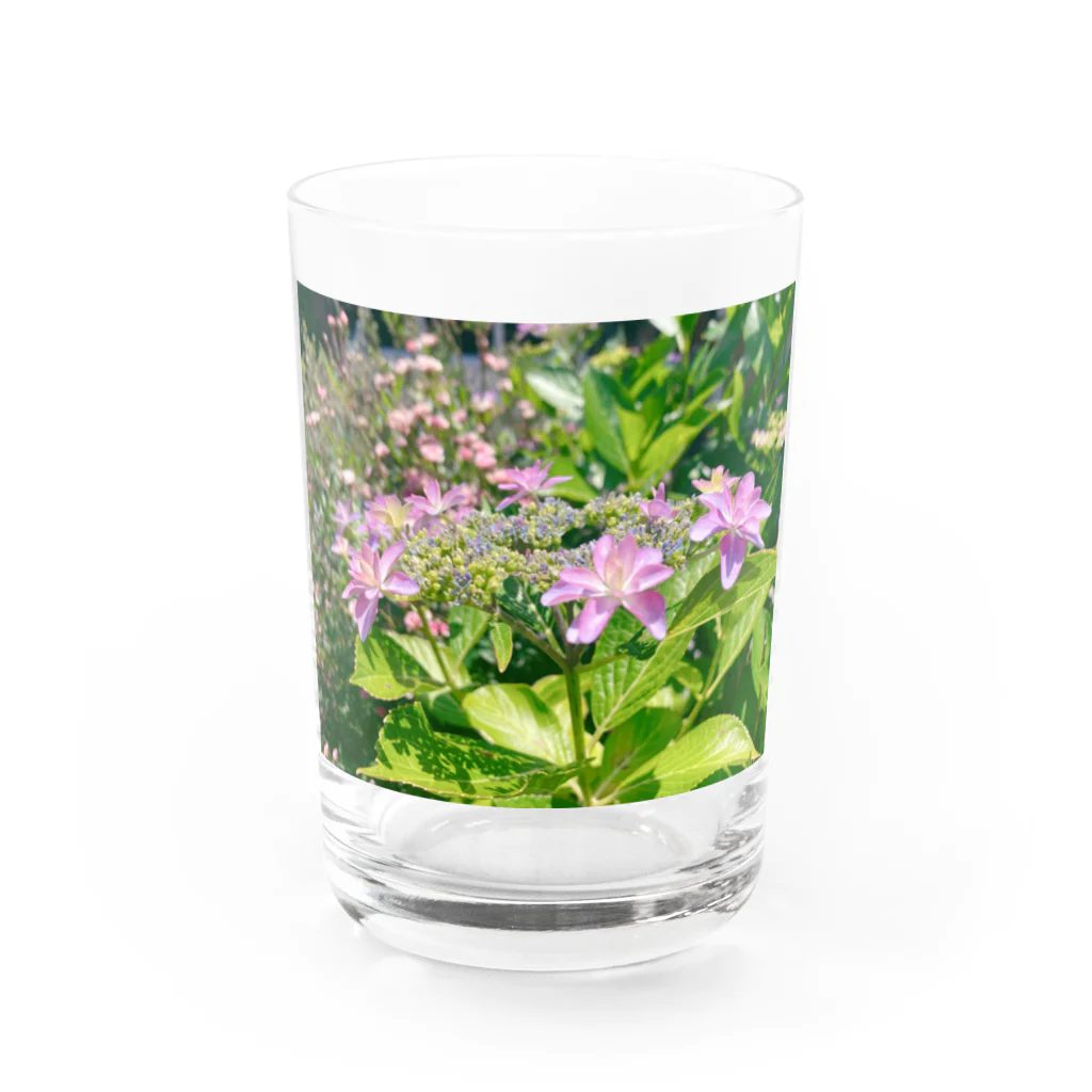 piyonnzの紫陽花 Water Glass :front