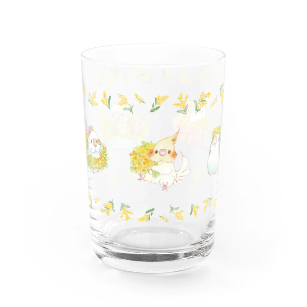 ゆとり屋のことりとミモザ Water Glass :front