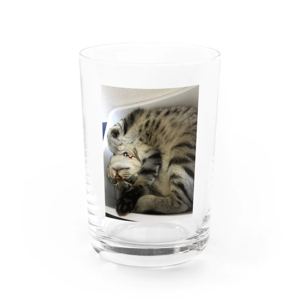 はむちゃんねる🐹のヒナタ様グラス Water Glass :front