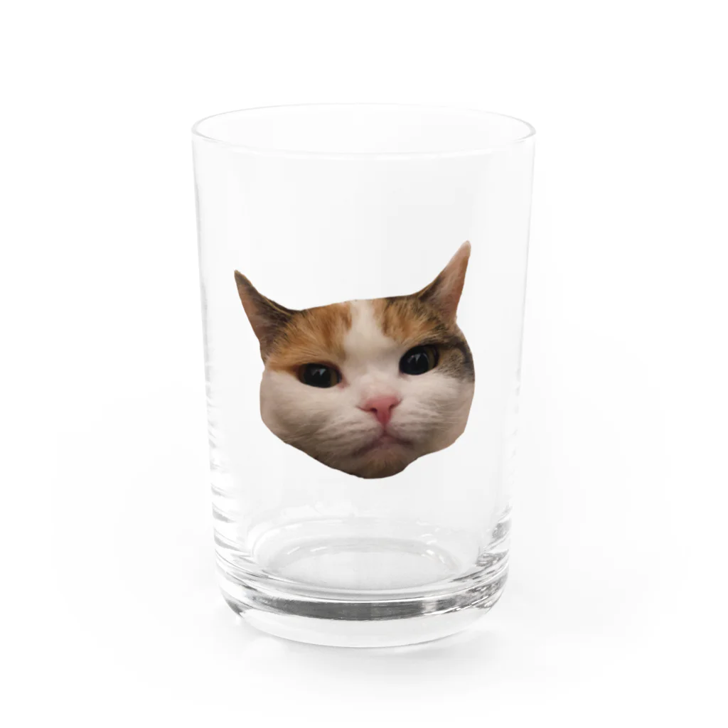 (あすか)のびすこ Water Glass :front