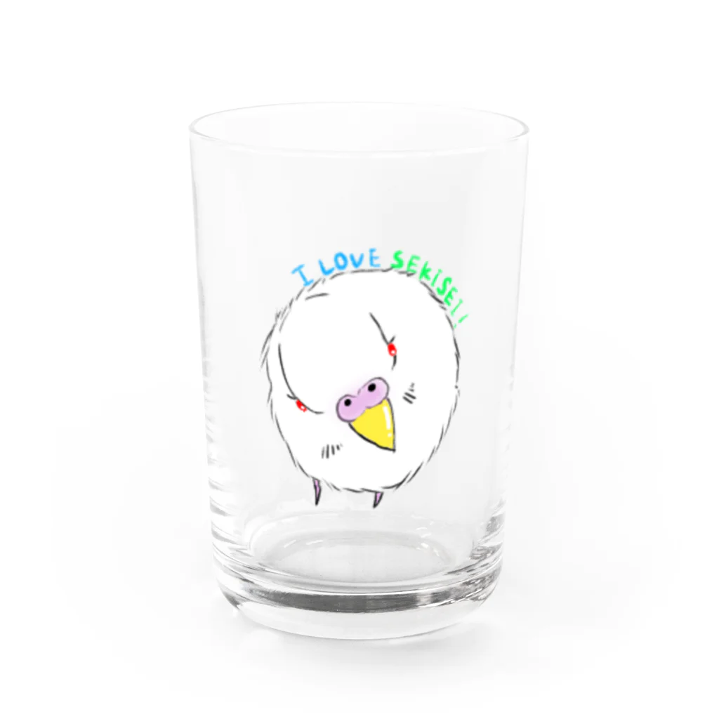 ソラハルインコ♡のセキセイインコ アルビノ Water Glass :front