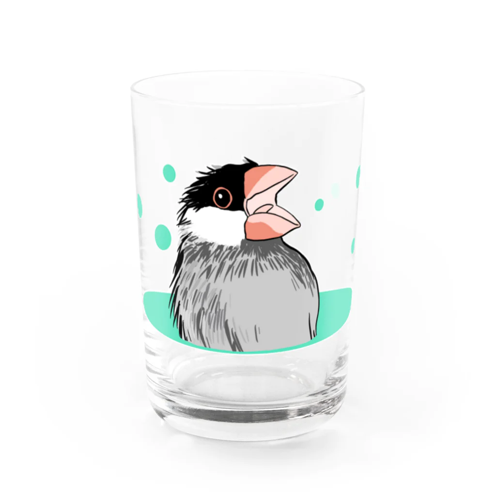 キャルルCITYのサッパリ文鳥 Water Glass :front