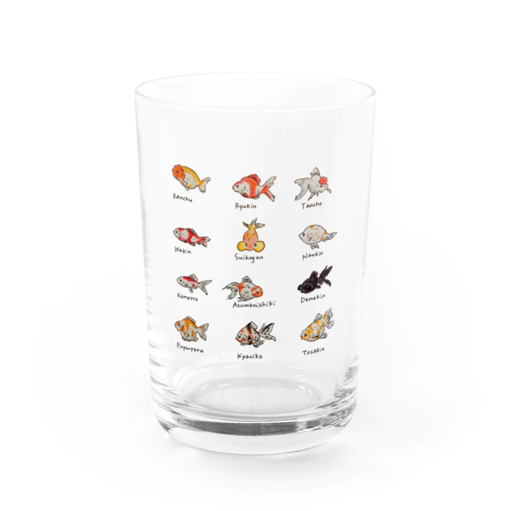 とこみんの金魚 Water Glass :front