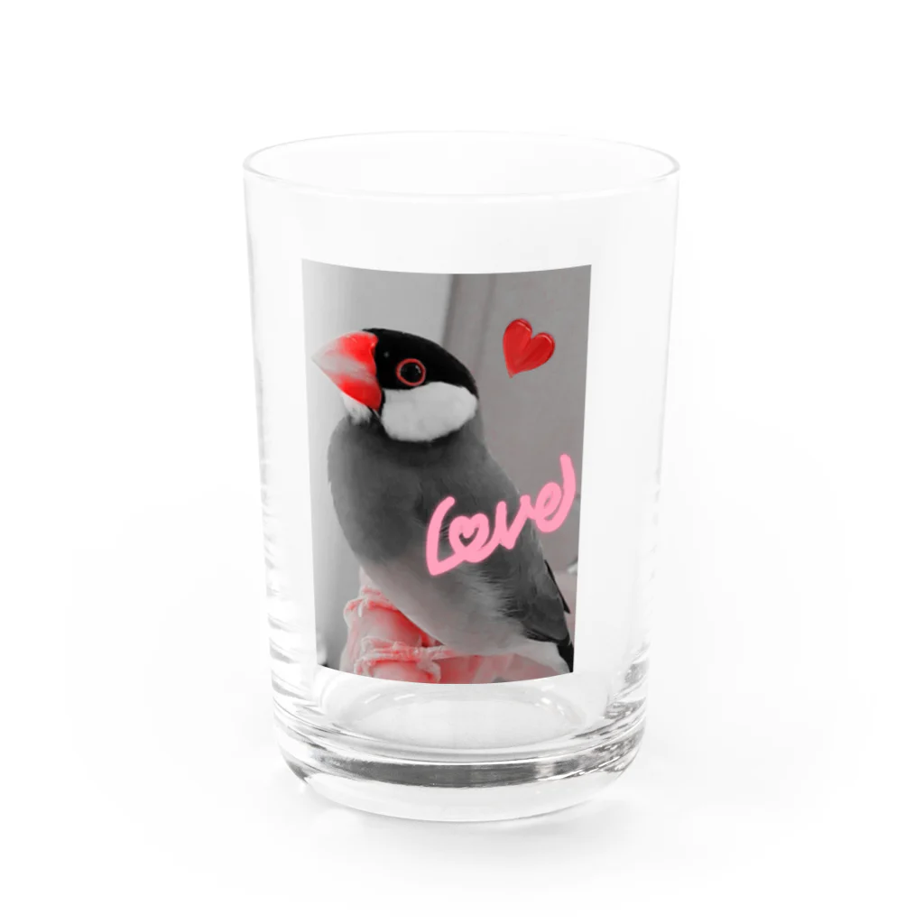 harupink🌸ペット似顔絵illustのBLACK×REDな文鳥さん Water Glass :front