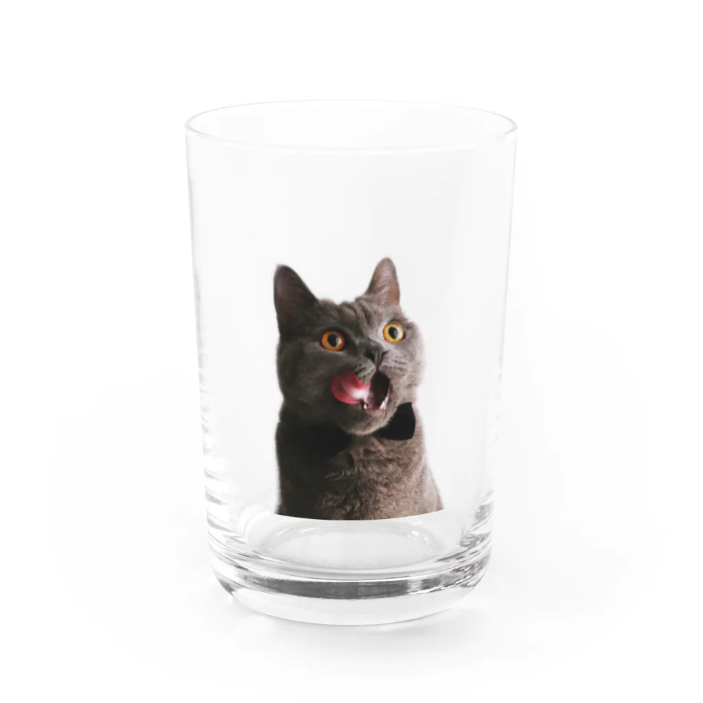 Higucciniのびっくりボナさんグラス Water Glass :front