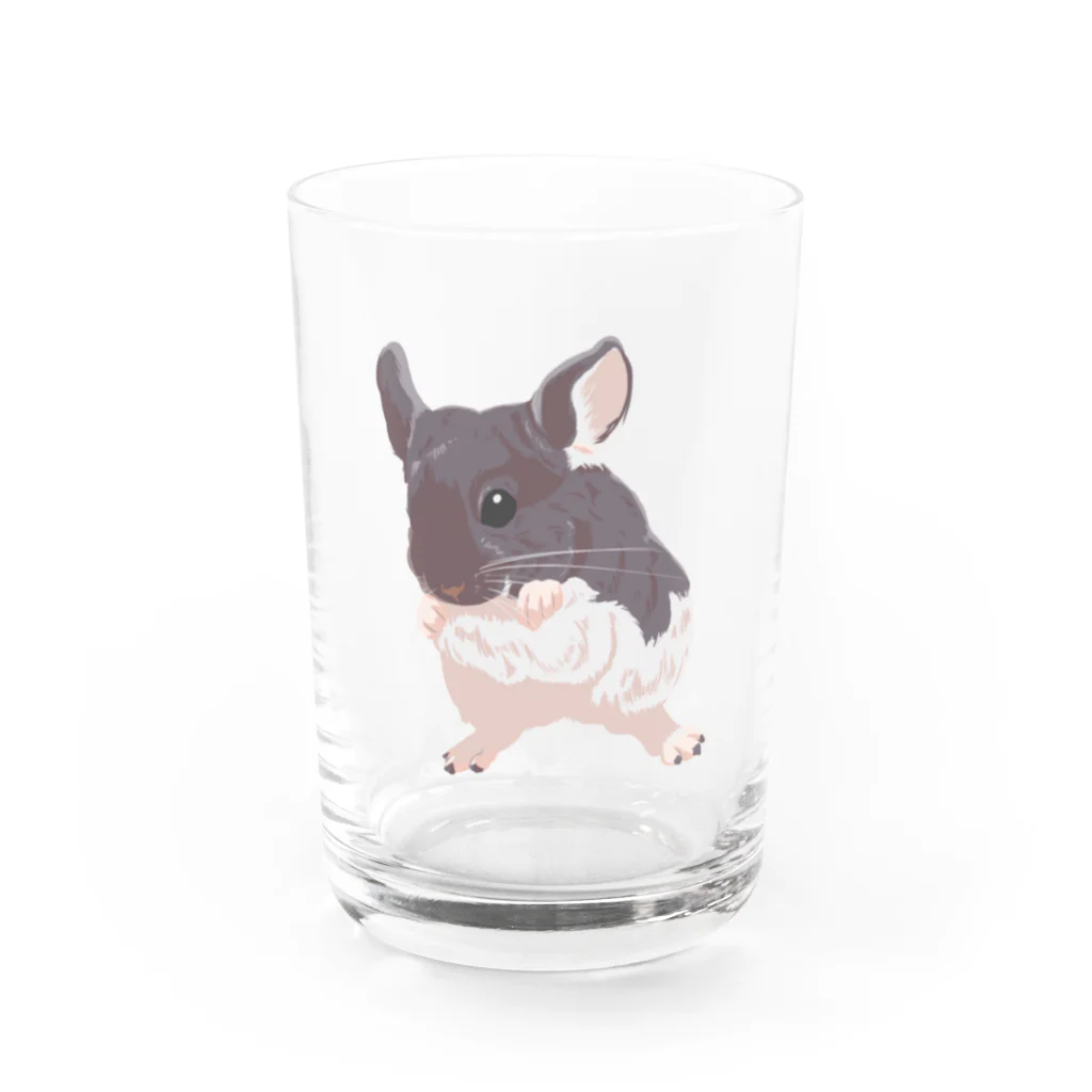 Lichtmuhleのモルパラ2021 ふう太ちゃん Water Glass :front