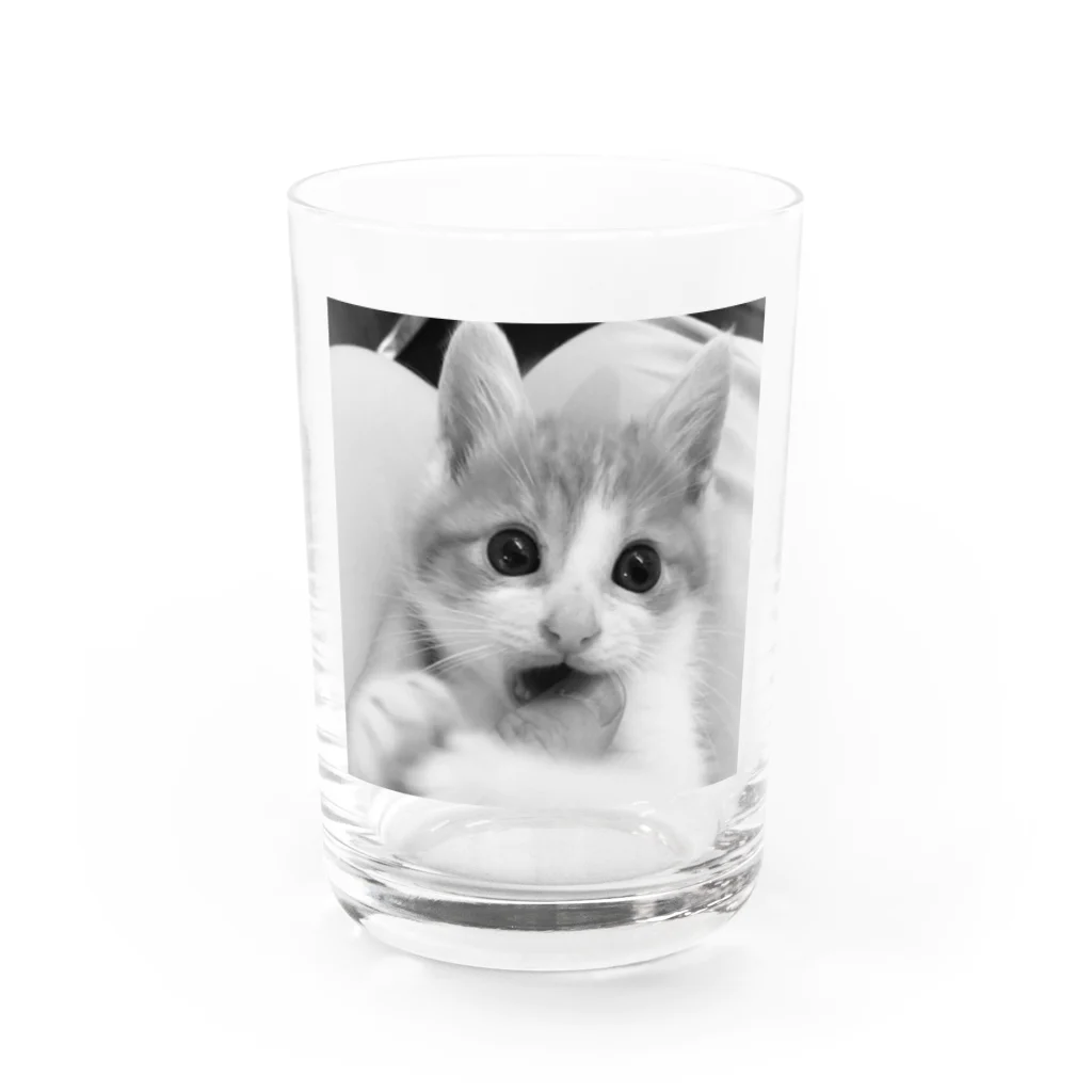 保護猫支援ショップ・パール女将のお宿のおもいで Water Glass :front