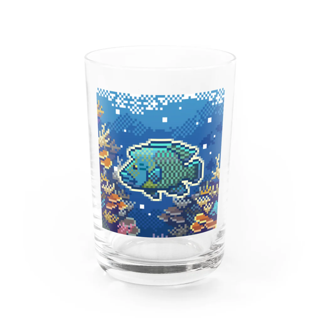 ロドリィ工房のナポレオンフィッシュ Water Glass :front