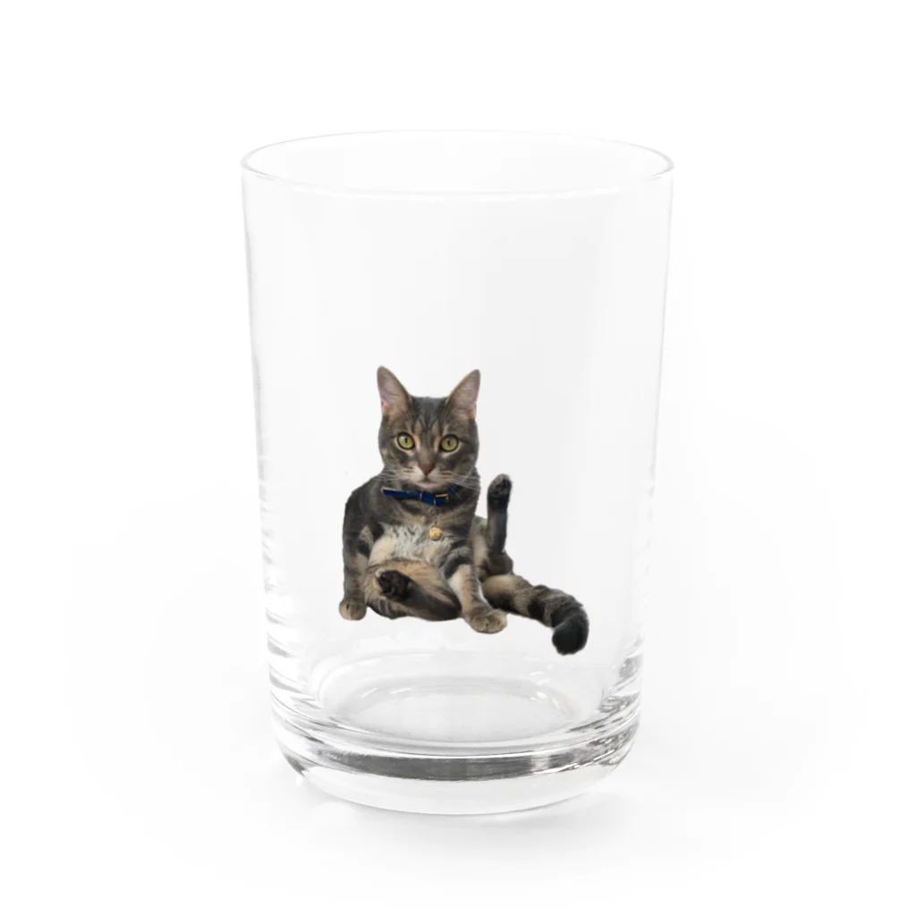 なかたです。のうちのお猫様 Water Glass :front