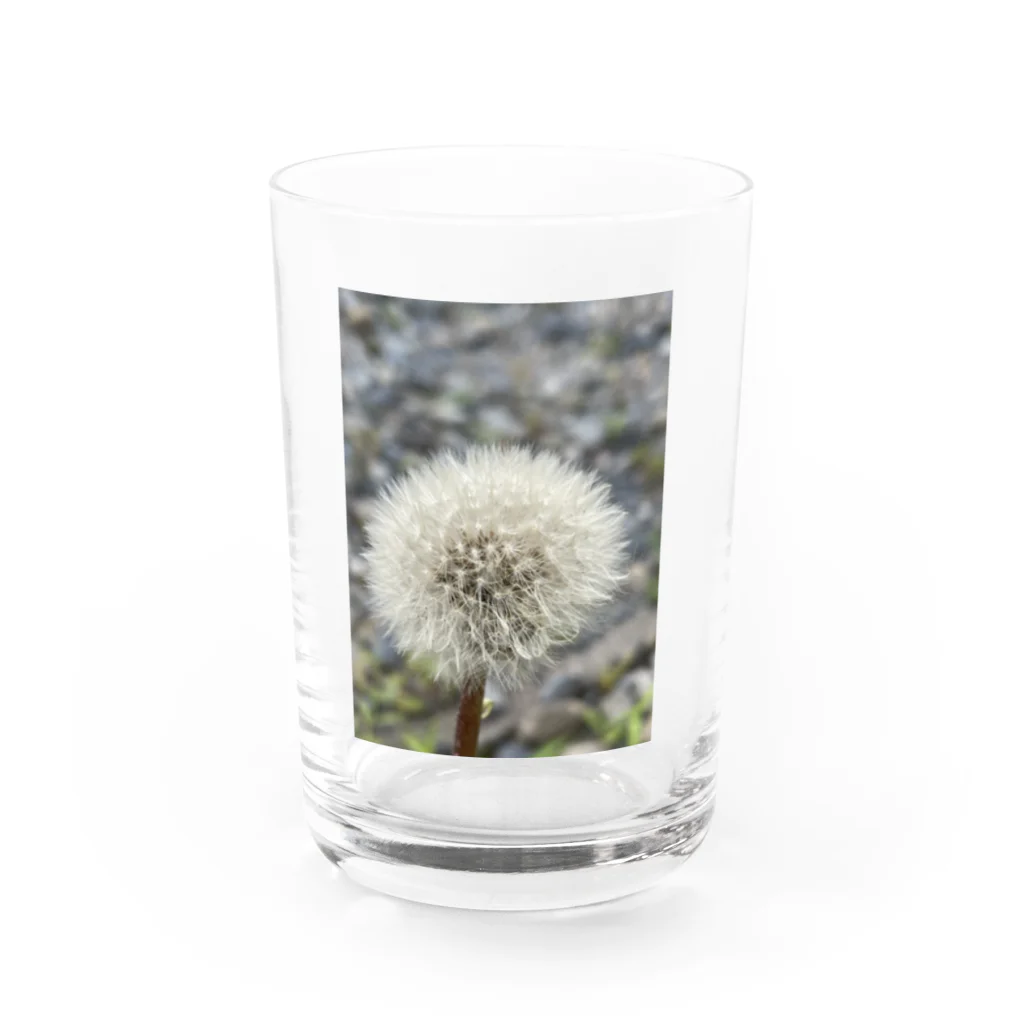 でおきしりぼ子の実験室のわたげのうたげ-縦 Water Glass :front