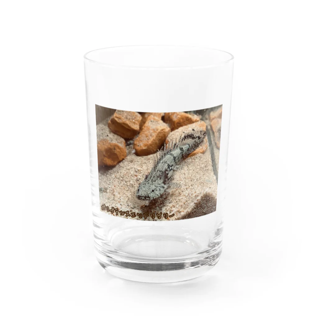 10chim.aquaのポリプテルスエンドリケリー Water Glass :front