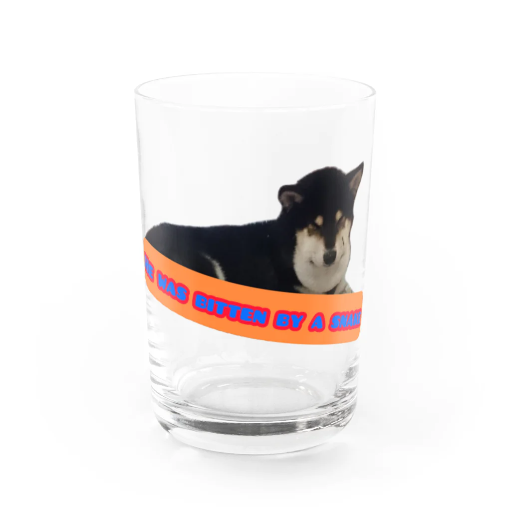 柴犬と柴犬のマムシ柴犬2 Water Glass :front