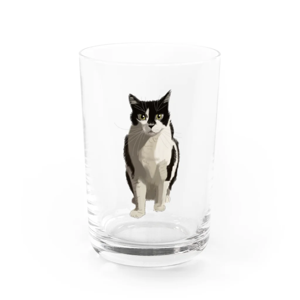 小鳥と映画館のカッコいいネコ Water Glass :front