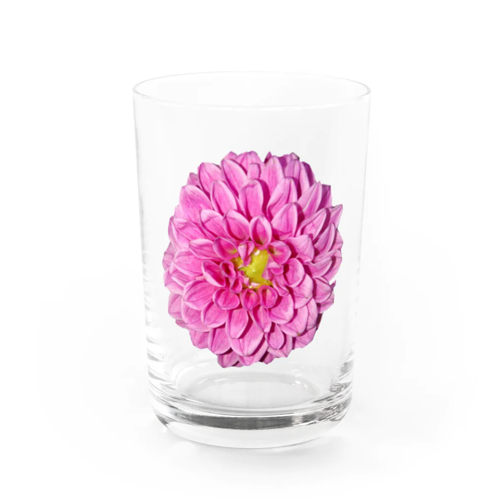 水彩屋のDahlia グラス前面