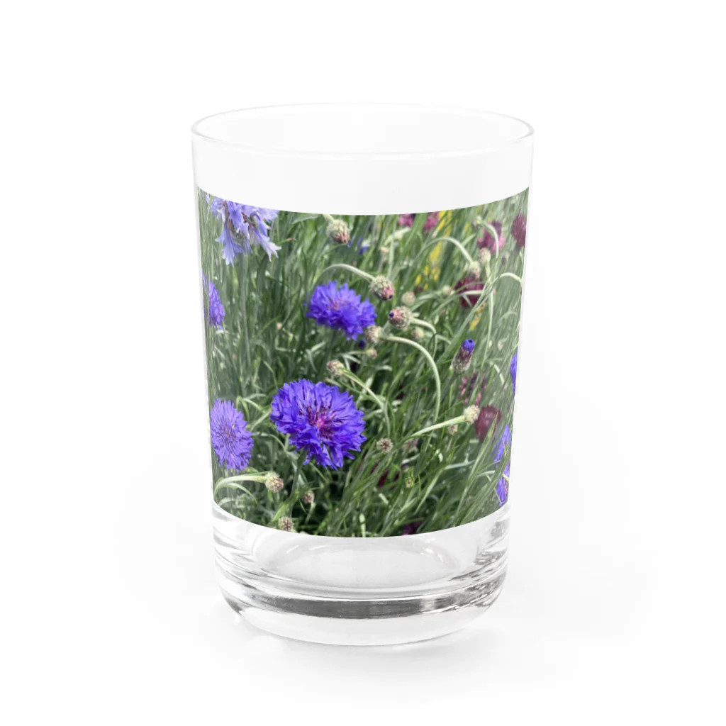 amekoamenokoのflower グラス前面