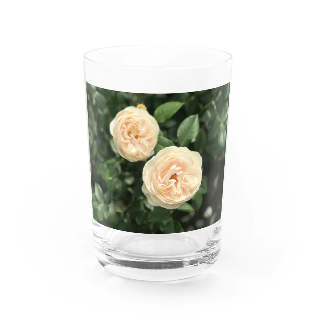 amekoamenokoのflower Water Glass :front