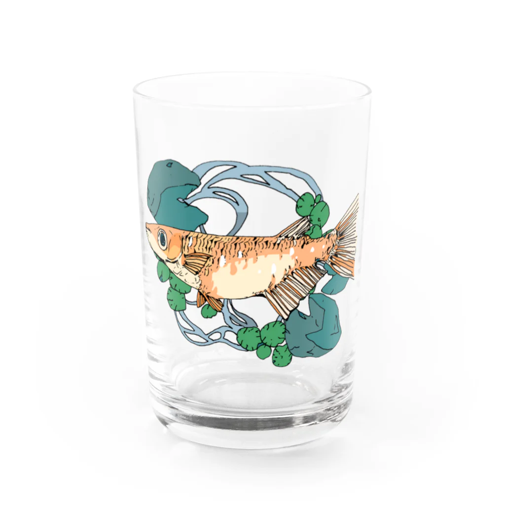 恒福水路のメダカ（ヒメダカ）グラス Water Glass :front