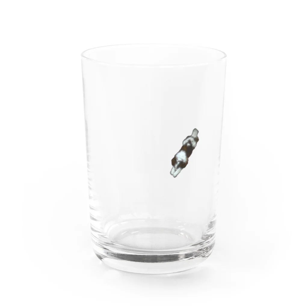 たかなからしたかなの寝る犬 Water Glass :front