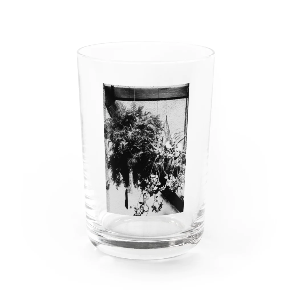 signeesのRAF Water Glass :front