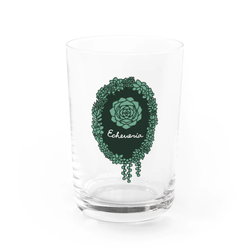 Alba spinaのエケベリア グリーン Water Glass :front