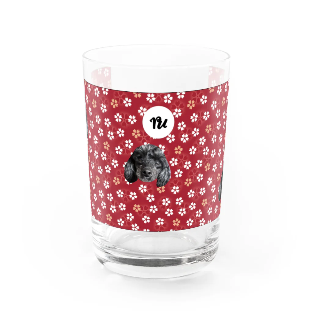 smilepocketのkurumi Water Glass :front