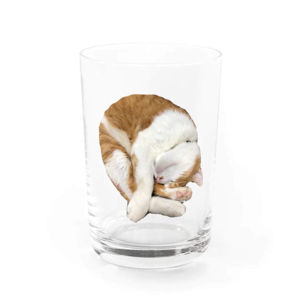 Smile Cute ..mikiのキジトラ猫のタイガーくん Water Glass :front