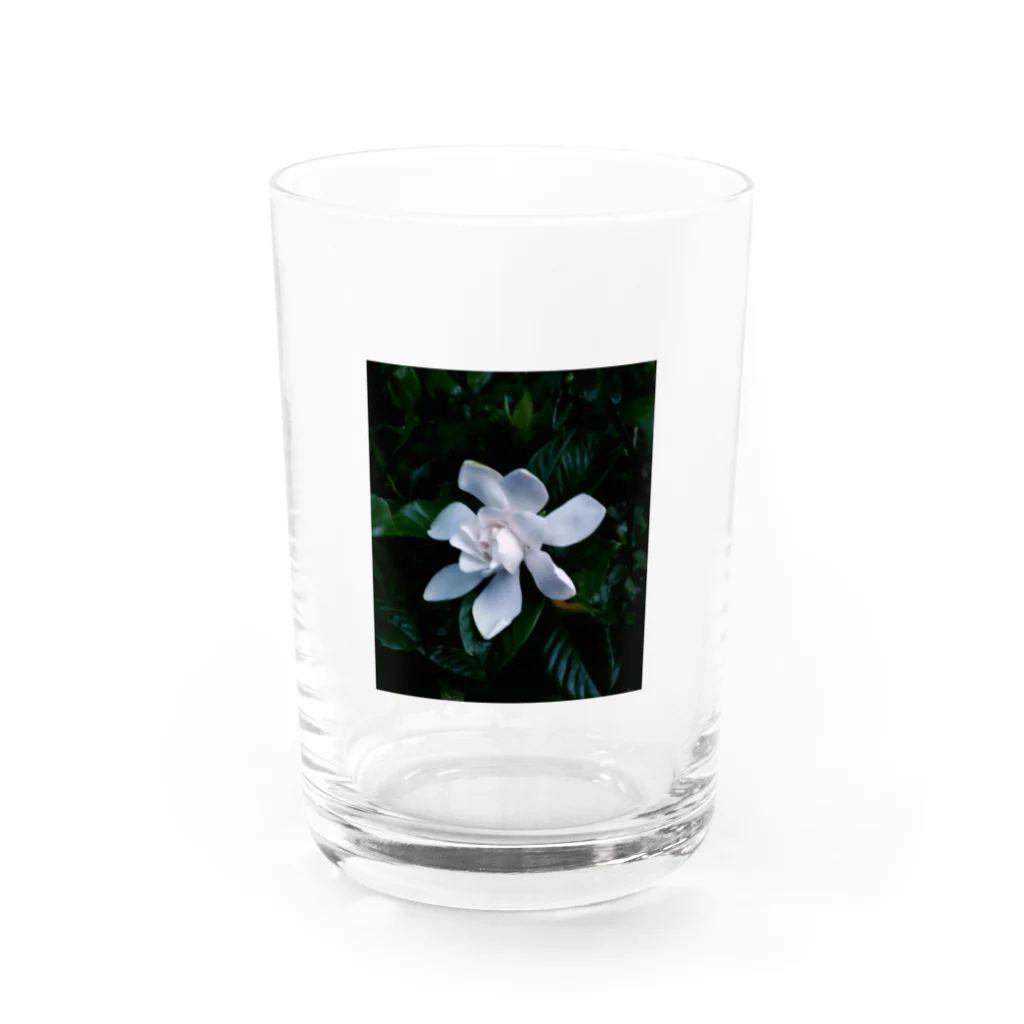 サトリアートのKuchinashi Water Glass :front