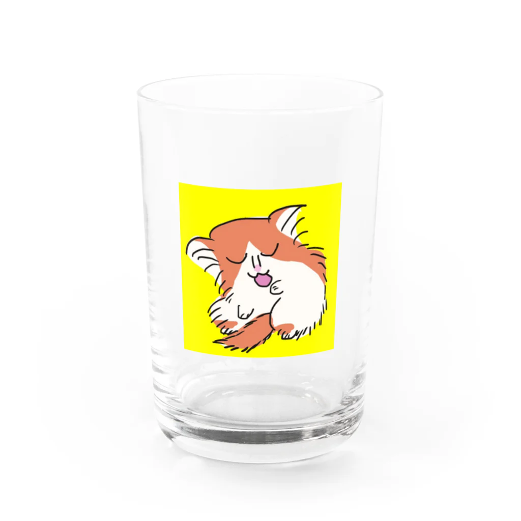 堤わにゃのうちの猫 Water Glass :front