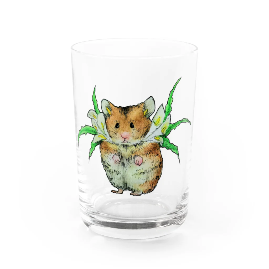 あぽりのゴールデンハムスターカラー Water Glass :front