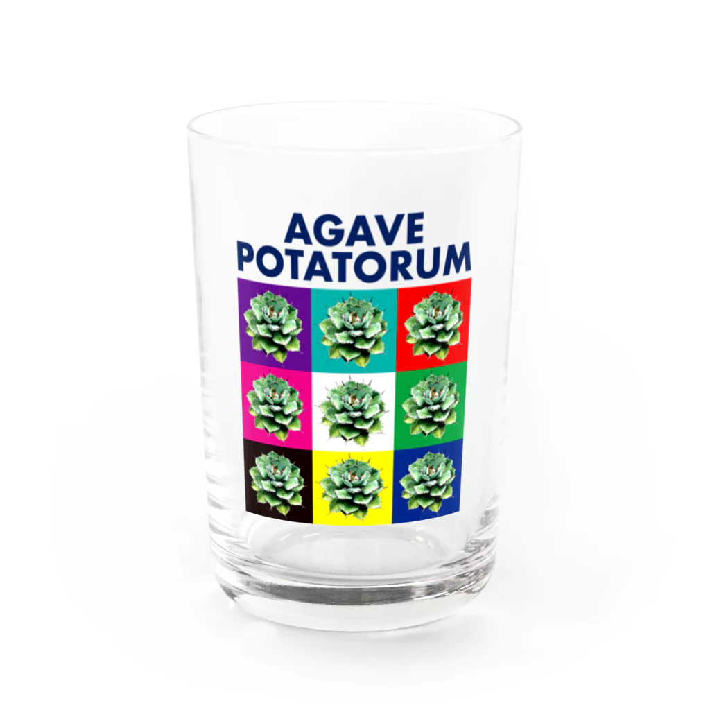 &ART315のAGAVE_POTATORUM_MULTI_COLOR Water Glass :front