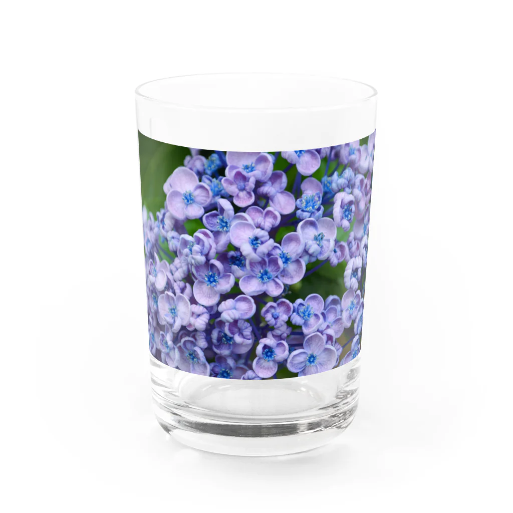 M&Hの紫陽花 Water Glass :front
