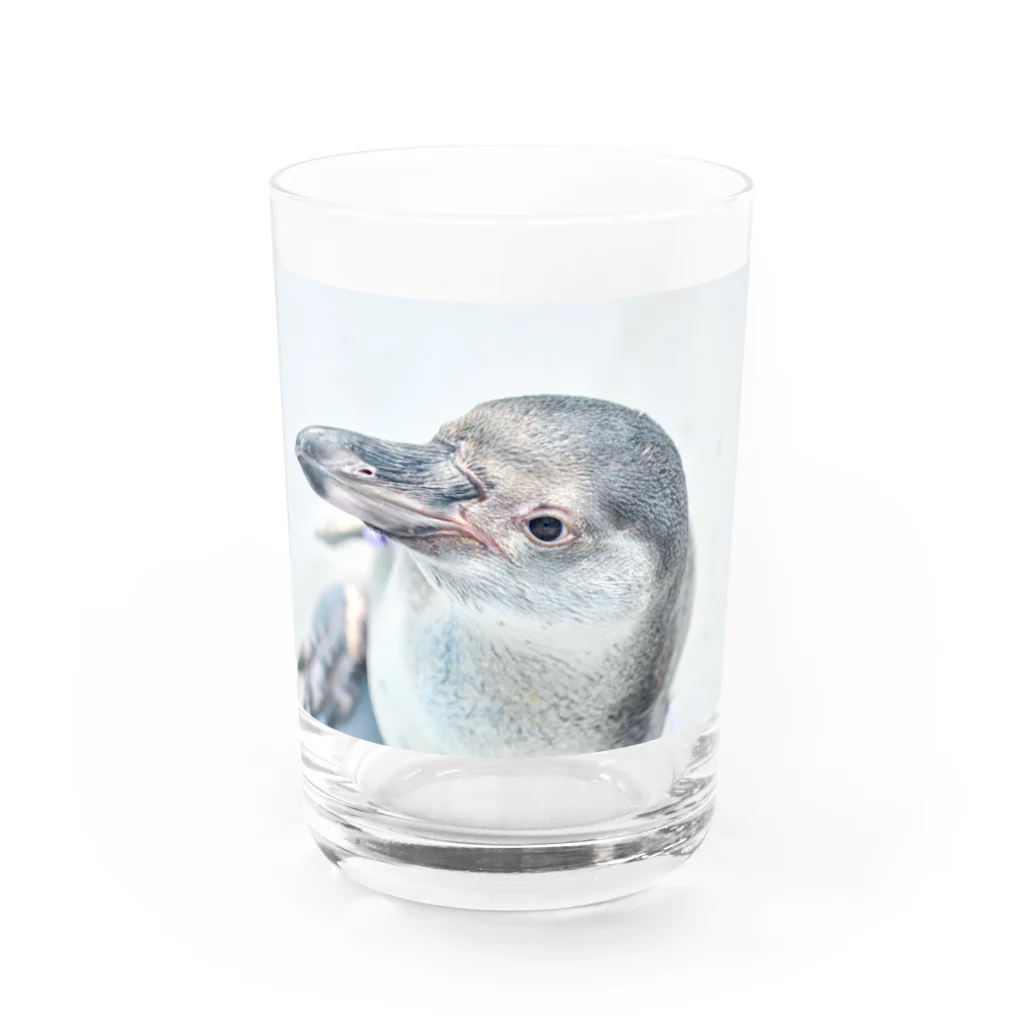 M&Hのペンギン Water Glass :front