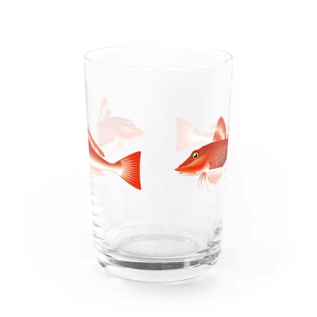 【魚類】おさかなちゃん☆図鑑の【魚類】ホウボウちゃん☆魴鮄 Water Glass :front
