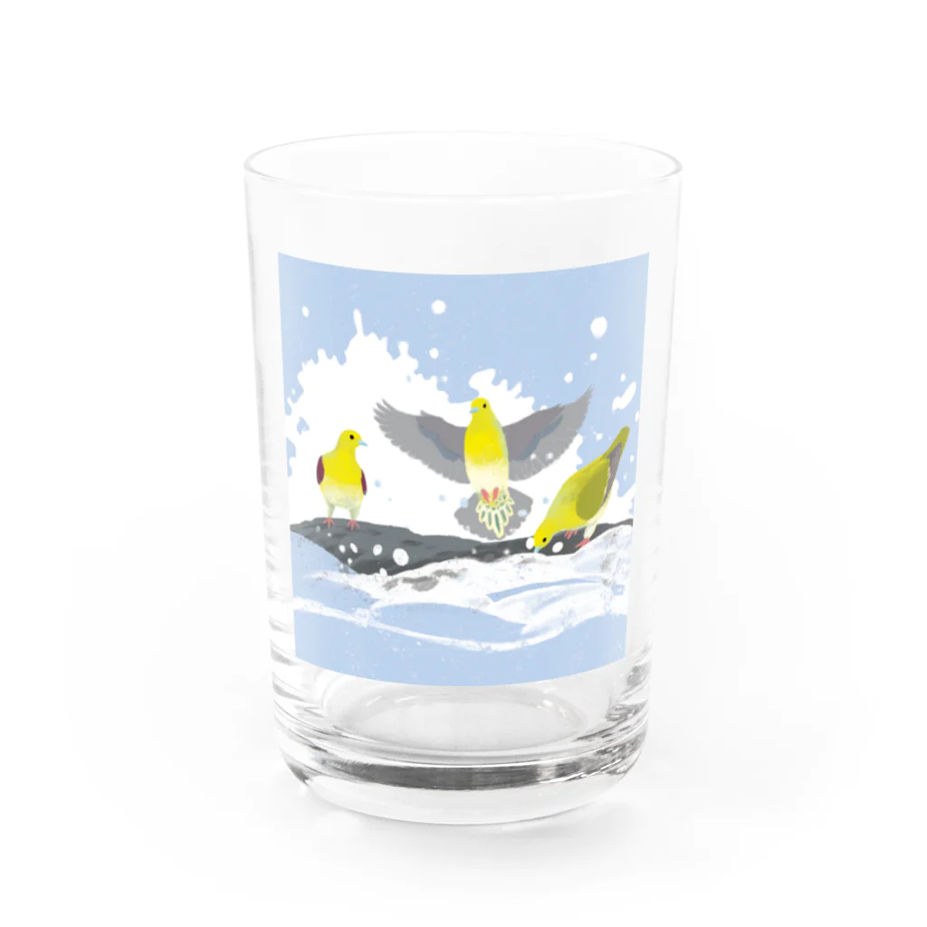 piro piro piccoloのアオバト＠大磯 Water Glass :front