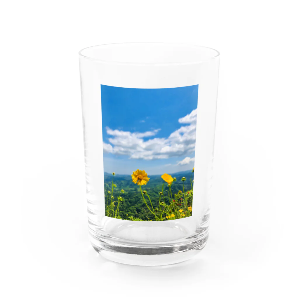 ジャスミンティーのMountainflower Water Glass :front