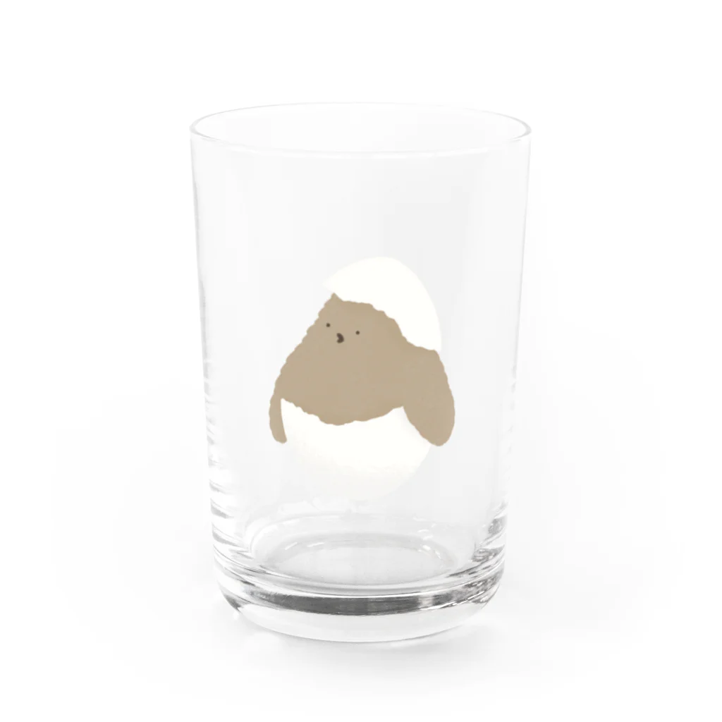 ペンギンのお子のペンギンのお子、産まれる Water Glass :front