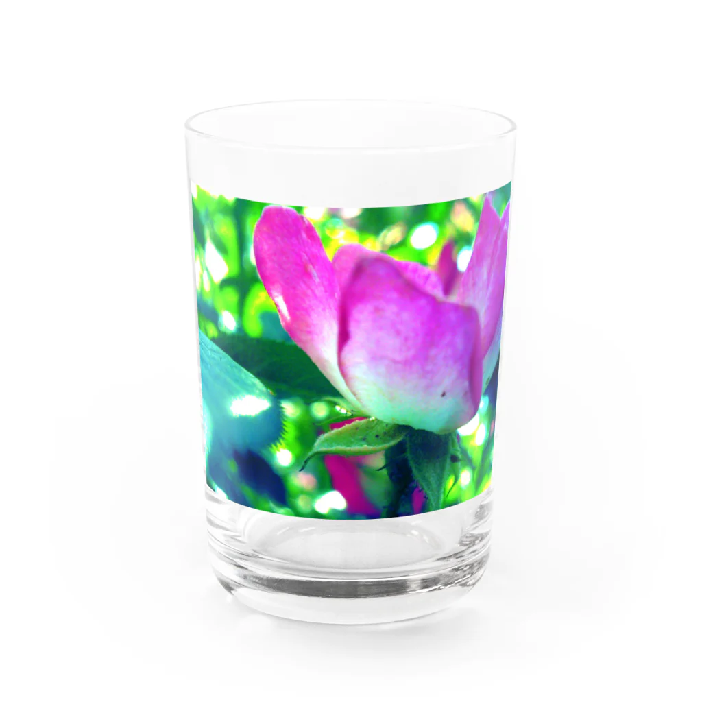 ラズリのトイカメラのpink Water Glass :front