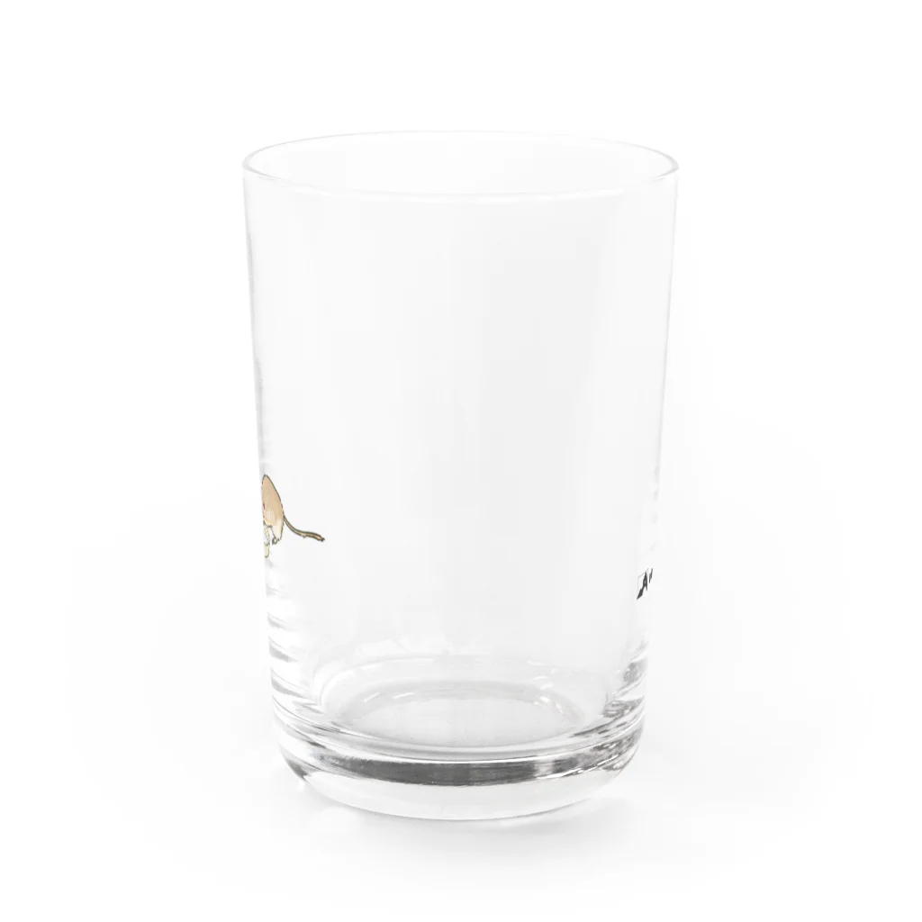 ネズミヤの水飲みスナネズミのグラス2 Water Glass :front