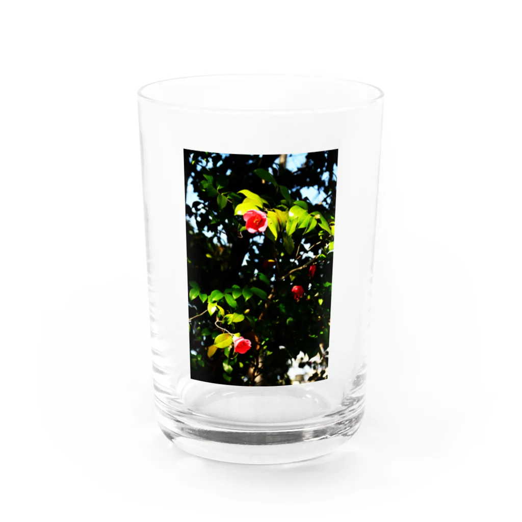 RDS_Rayon_de_soleilの支 Water Glass :front