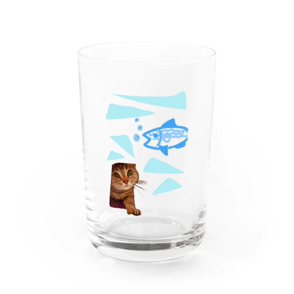 りんりん@らてののぞき見にゃんこ Water Glass :front