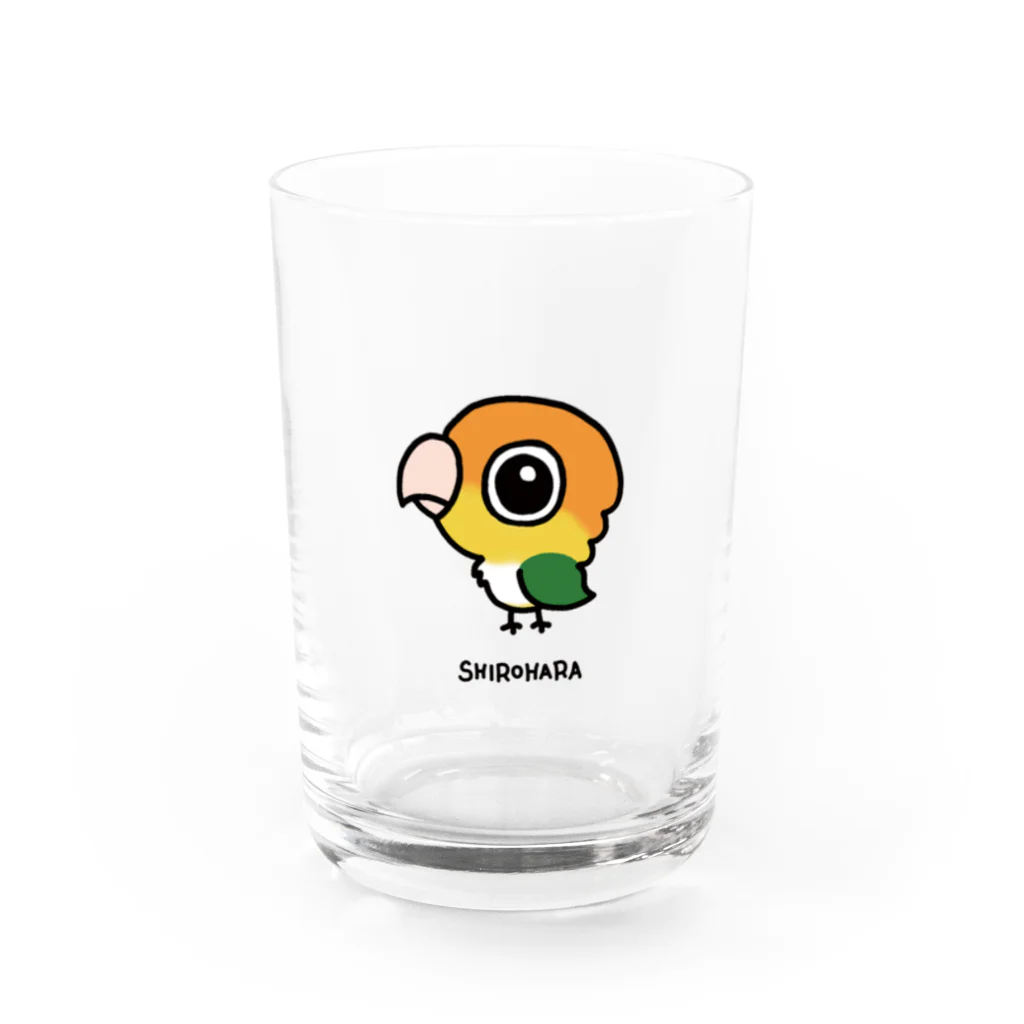 coconyan's shopのシロハラさん Water Glass :front