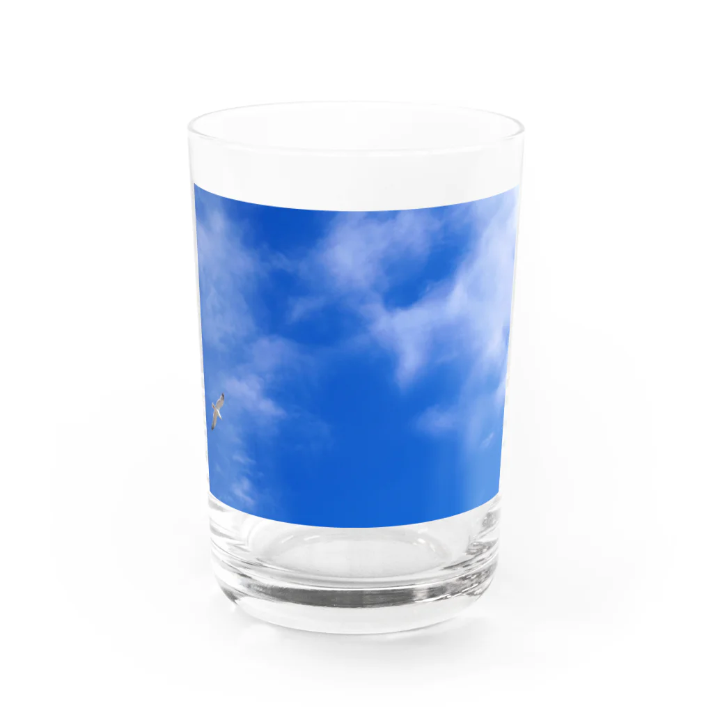 姉の青空カモメ Water Glass :front