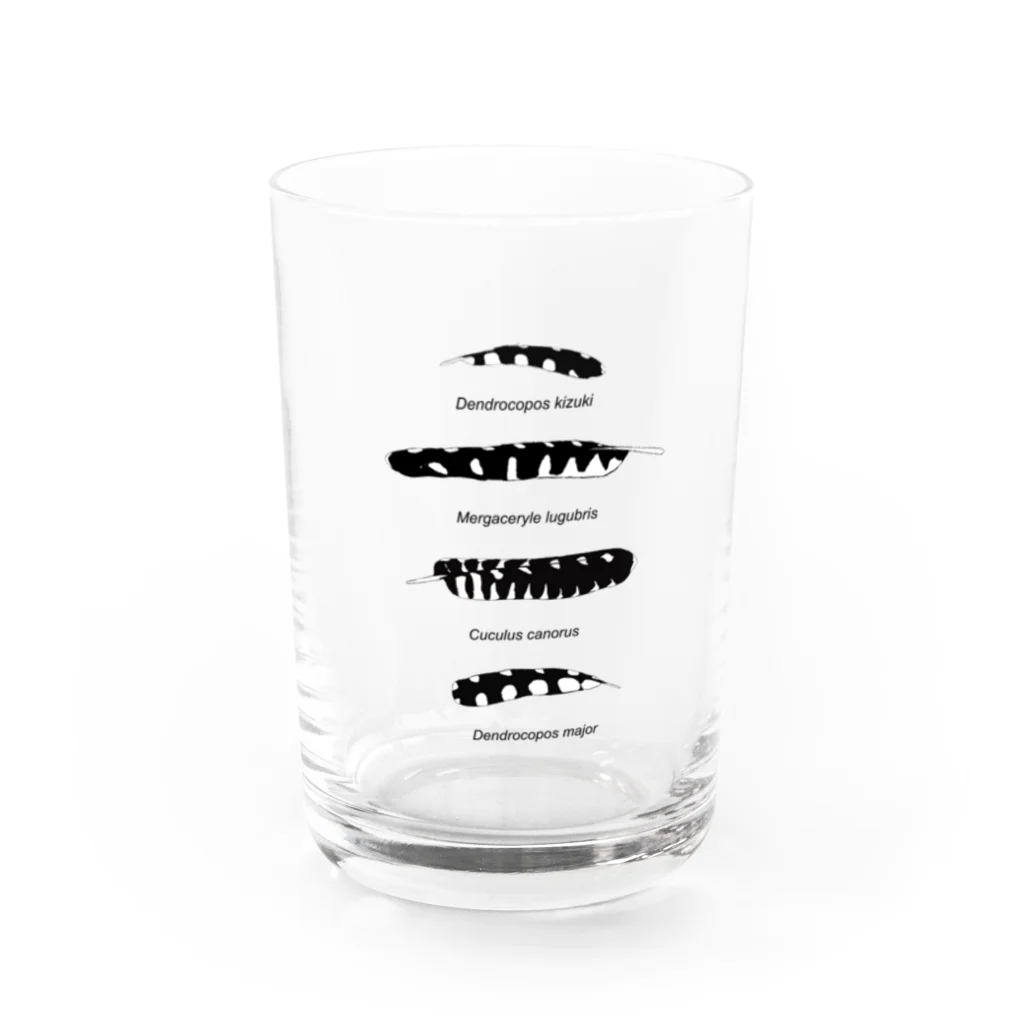 ハネクラシのコクビャクノハネ　グラス改 Water Glass :front