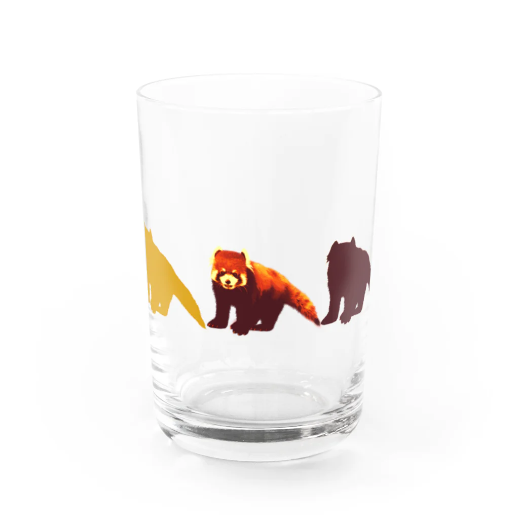 Chibahimeのレッサーパンダ（ライム芋カラー） Water Glass :front