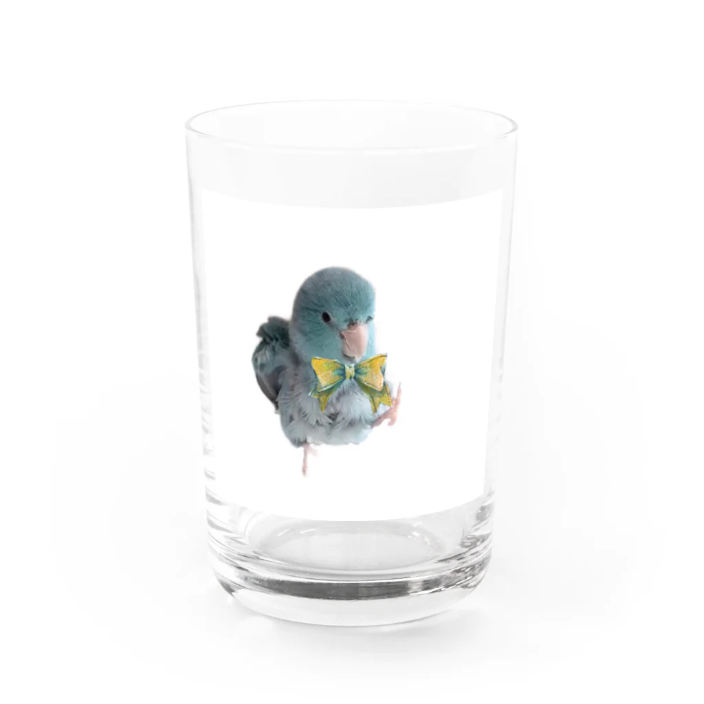 がおーマメちゃんのお散歩マメ Water Glass :front