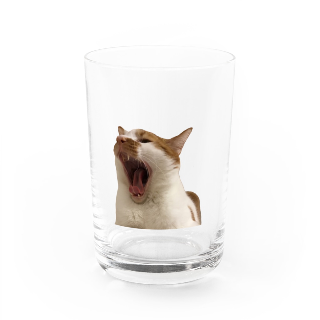 猫の雄叫び Water Glass By ももねこ Momo Neko Suzuri